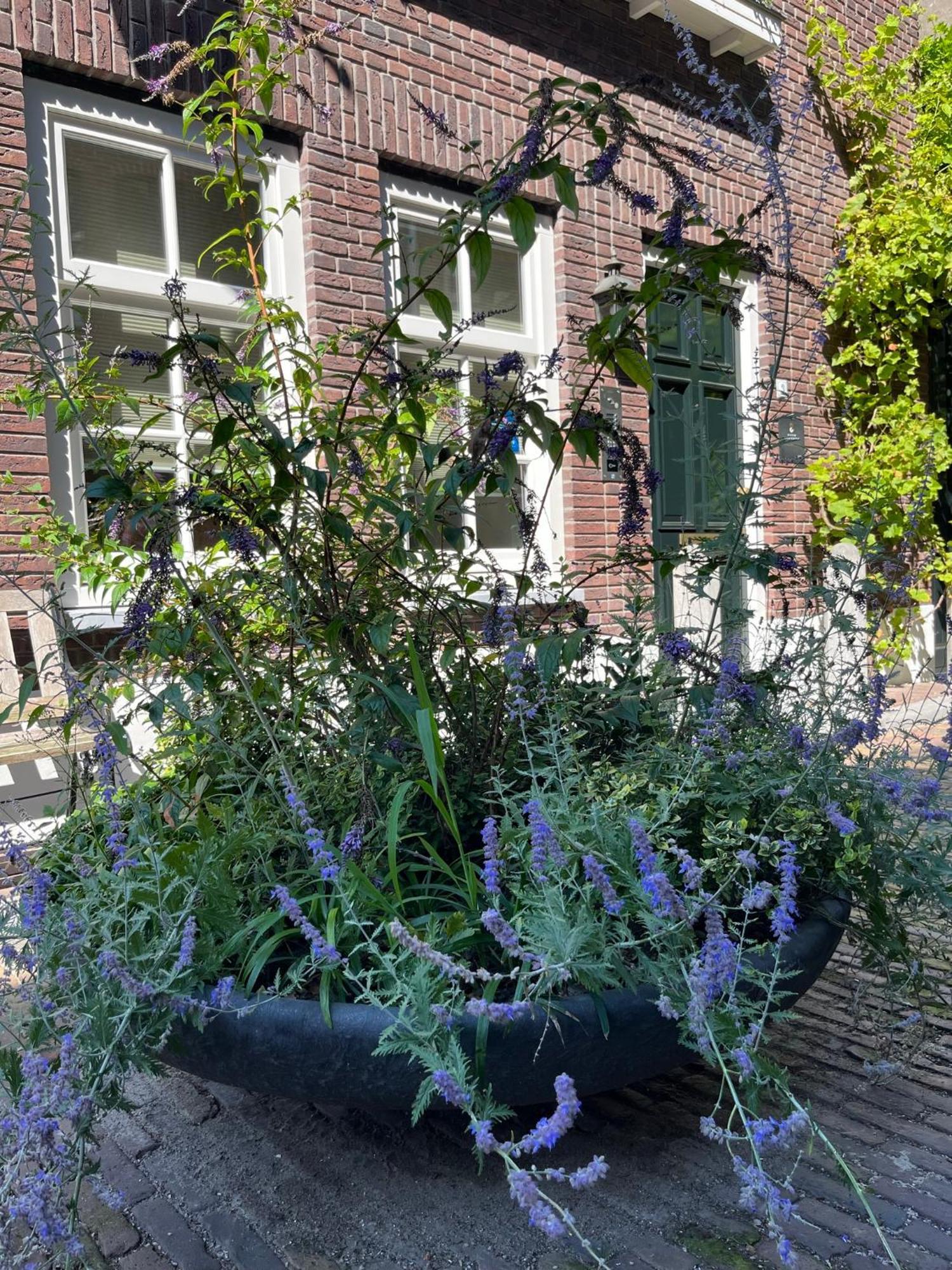 Boutique Hotel Nieuw Uilenburg 's-Hertogenbosch  Exterior foto
